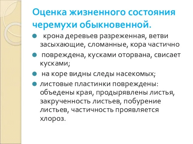 Оценка жизненного состояния черемухи обыкновенной. крона деревьев разреженная, ветви засыхающие, сломанные, кора