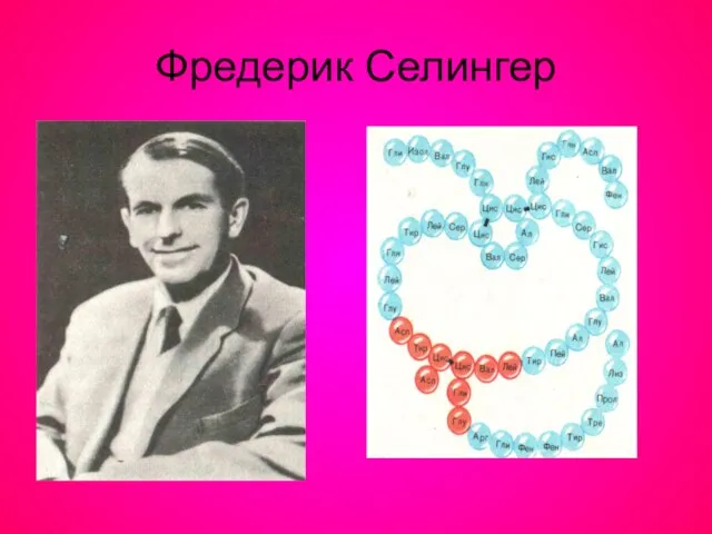 Фредерик Селингер