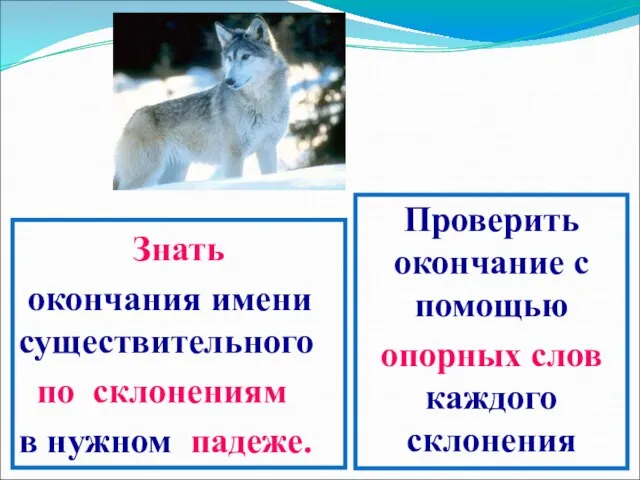 Знать окончания имени существительного по склонениям в нужном падеже. Проверить окончание с