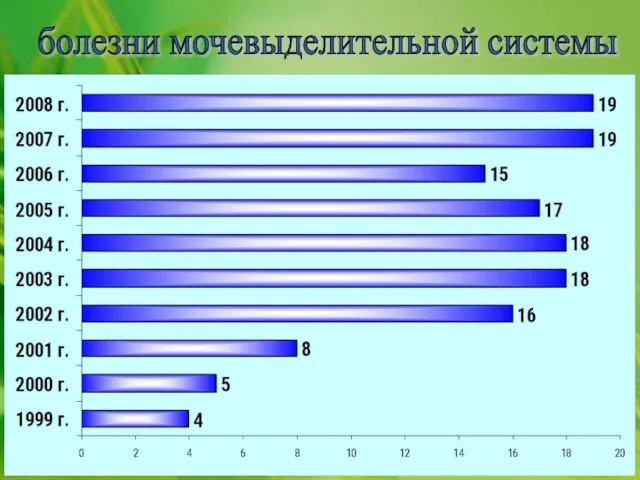 болезни мочевыделительной системы