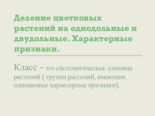 Деление цветковых растений на однодольные и двудольные. Характерные признаки. Класс – это