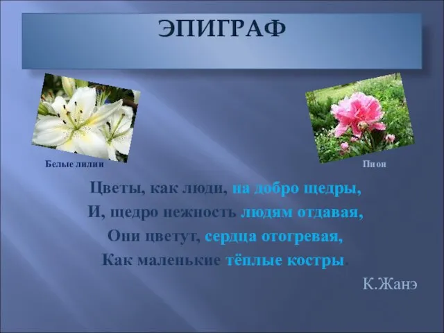 ЭПИГРАФ Цветы, как люди, на добро щедры, И, щедро нежность людям отдавая,