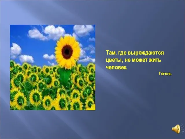 Там, где вырождаются цветы, не может жить человек. Гегель