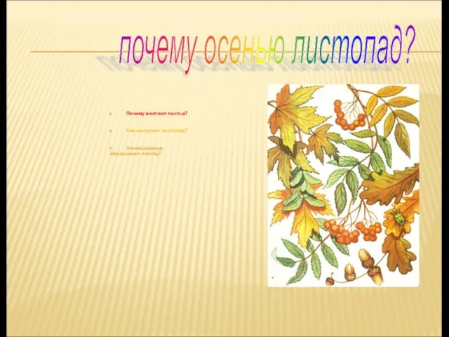 Почему желтеют листья? Как наступает листопад? Зачем деревья сбрасывают листву? почему осенью листопад?