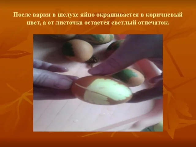 После варки в шелухе яйцо окрашивается в коричневый цвет, а от листочка остается светлый отпечаток.