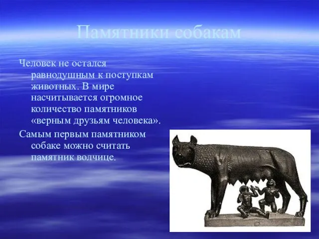 Памятники собакам Человек не остался равнодушным к поступкам животных. В мире насчитывается