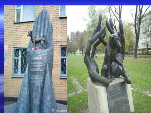 Собака Лайка - первое живое существо, побывавшее в космосе. Памятник установлен в Москве.