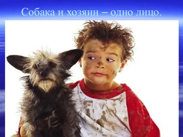 Собака и хозяин – одно лицо.