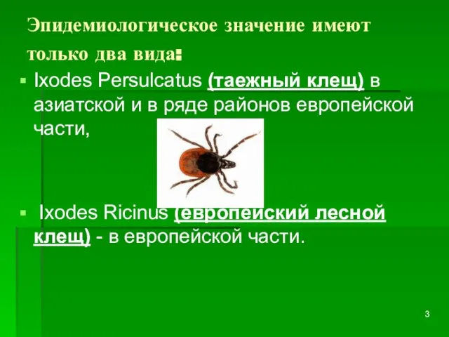 Эпидемиологическое значение имеют только два вида: Ixodes Persulcatus (таежный клещ) в азиатской
