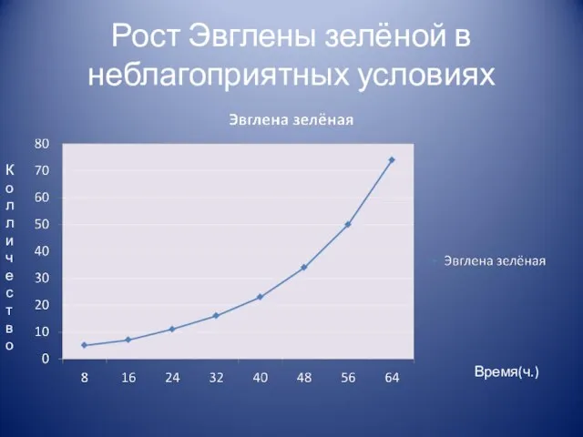 Рост Эвглены зелёной в неблагоприятных условиях Время(ч.) Колличество