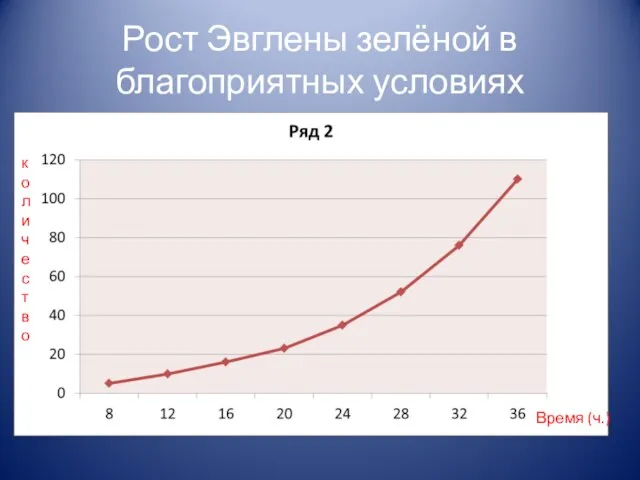 Рост Эвглены зелёной в благоприятных условиях Время (ч.) количество