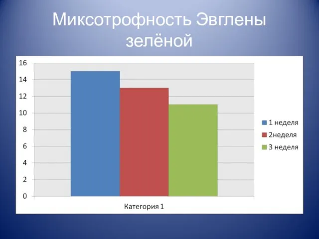 Миксотрофность Эвглены зелёной