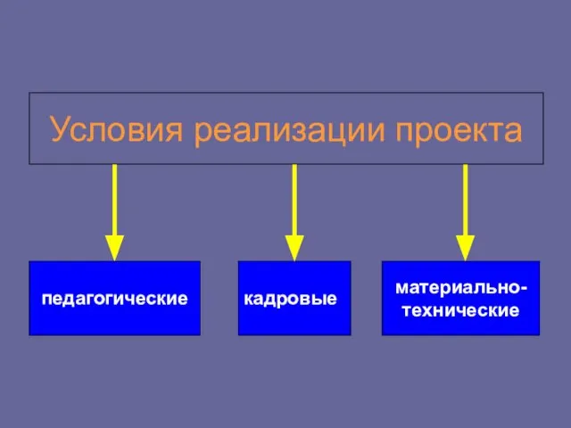 Условия реализации проекта педагогические кадровые материально-технические