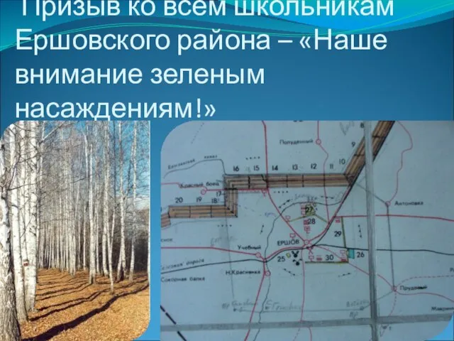 Призыв ко всем школьникам Ершовского района – «Наше внимание зеленым насаждениям!»