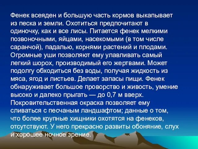 Фенек всеяден и большую часть кормов выкапывает из песка и земли. Охотиться