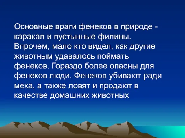 Основные враги фенеков в природе - каракал и пустынные филины. Впрочем, мало