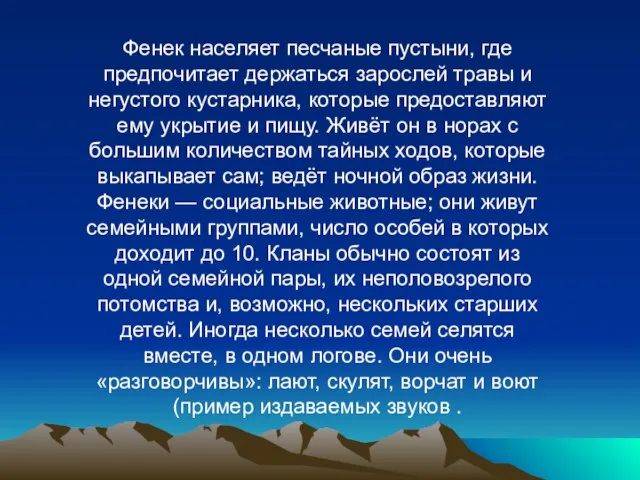 Фенек населяет песчаные пустыни, где предпочитает держаться зарослей травы и негустого кустарника,