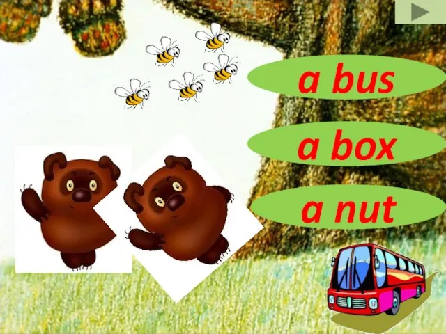 a bus a box a nut