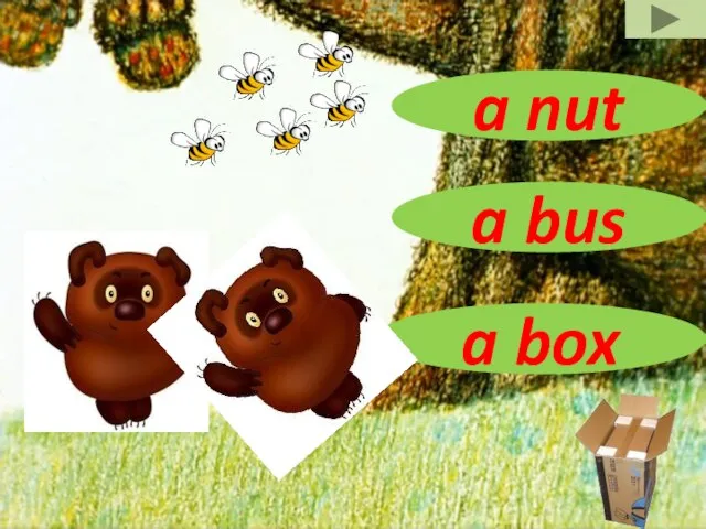 a box a bus a nut