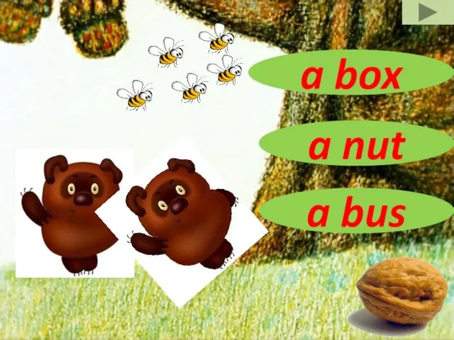 a nut a box a bus
