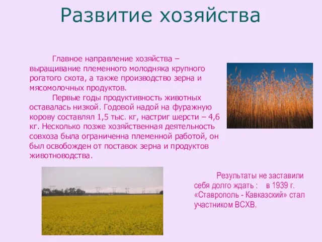 Развитие хозяйства Результаты не заставили себя долго ждать : в 1939 г.