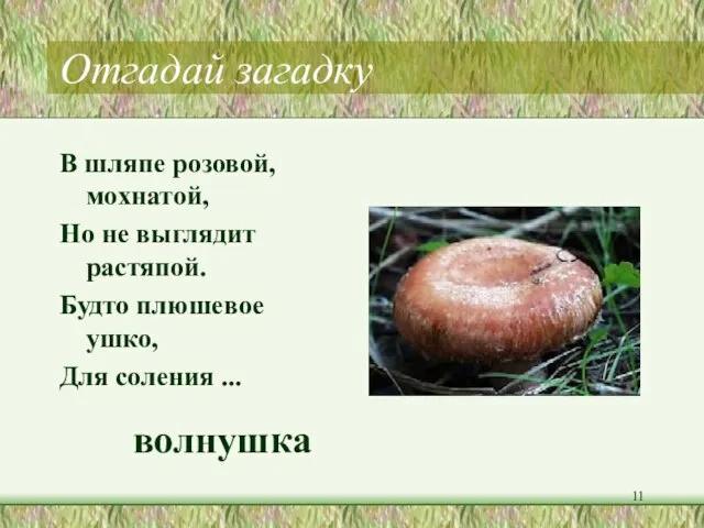 Отгадай загадку В шляпе розовой, мохнатой, Но не выглядит растяпой. Будто плюшевое