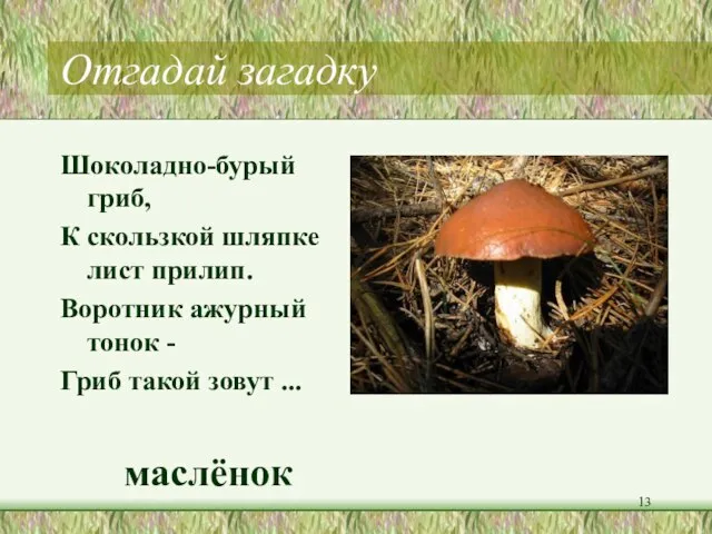 Отгадай загадку Шоколадно-бурый гриб, К скользкой шляпке лист прилип. Воротник ажурный тонок