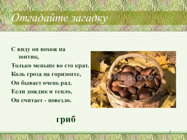 Отгадайте загадку С виду он похож на зонтик, Только меньше во сто