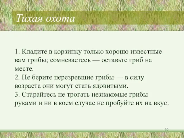 Тихая охота 1. Кладите в корзинку только хорошо известные вам грибы; сомневаетесь