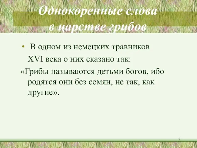 Однокоренные слова в царстве грибов В одном из немецких травников XVI века