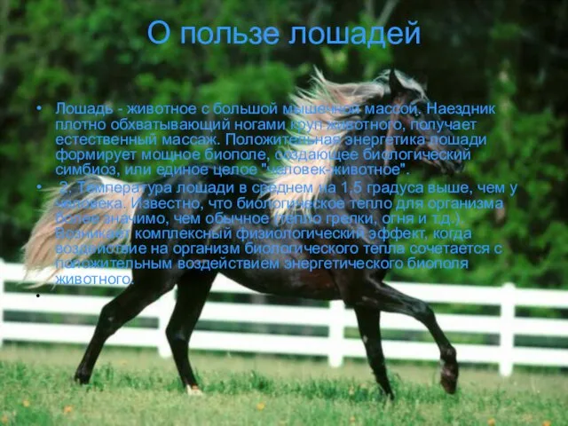 О пользе лошадей Лошадь - животное с большой мышечной массой. Наездник плотно