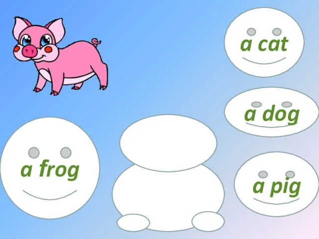 a frog a pig a dog a cat