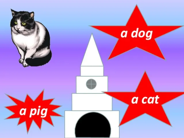 a pig a dog a cat