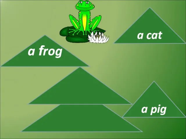 a frog a cat a pig