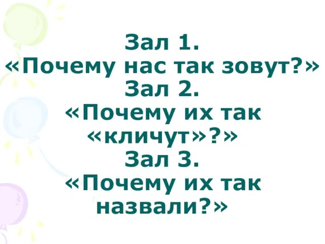 Зал 1. «Почему нас так зовут?» Зал 2. «Почему их так «кличут»?»