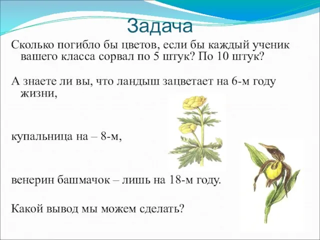 Задача Сколько погибло бы цветов, если бы каждый ученик вашего класса сорвал