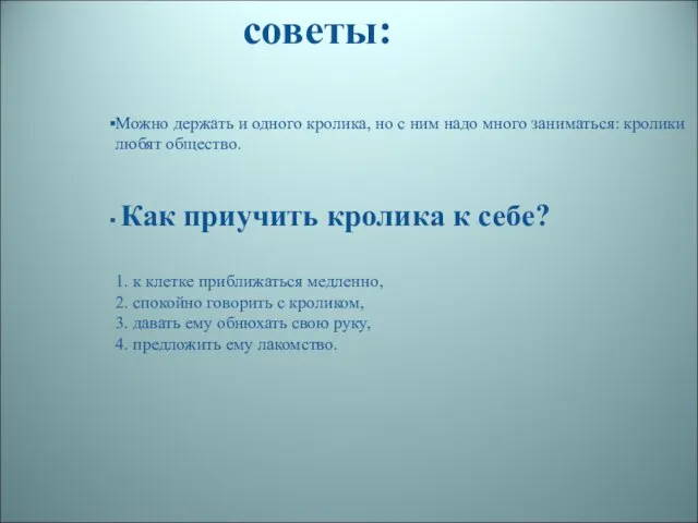 Можно держать и одного кролика, но с ним надо много заниматься: кролики