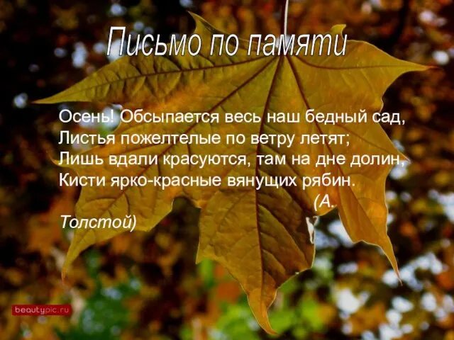 Письмо по памяти Осень! Обсыпается весь наш бедный сад, Листья пожелтелые по