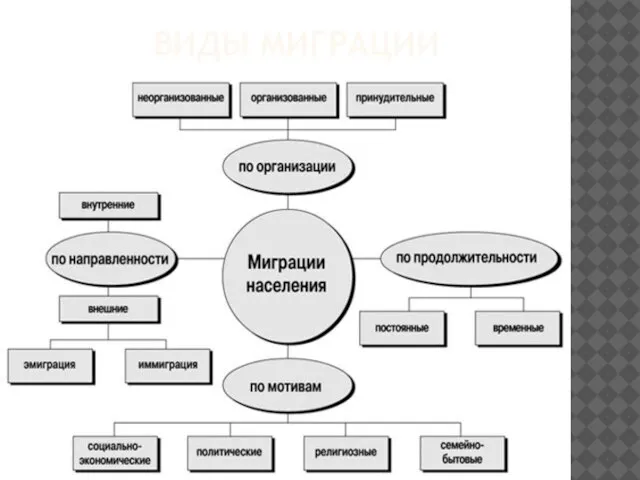 Виды миграции