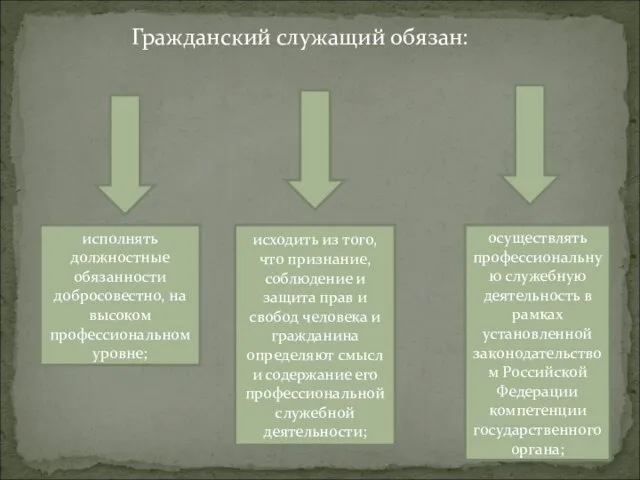 Гражданский служащий обязан: исполнять должностные обязанности добросовестно, на высоком профессиональном уровне; исходить