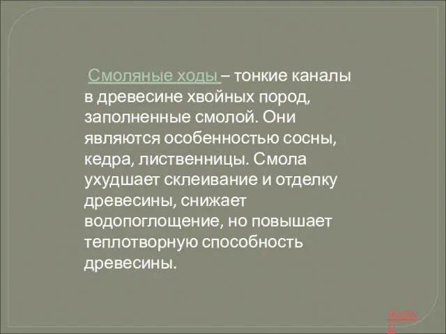 Смоляные ходы – тонкие каналы в древесине хвойных пород, заполненные смолой. Они