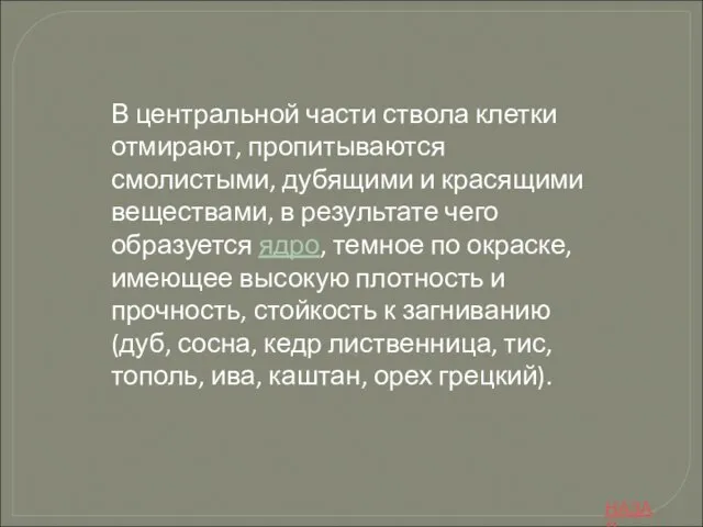 В центральной части ствола клетки отмирают, пропитываются смолистыми, дубящими и красящими веществами,