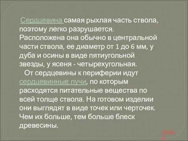 Сердцевина самая рыхлая часть ствола, поэтому легко разрушается. Расположена она обычно в