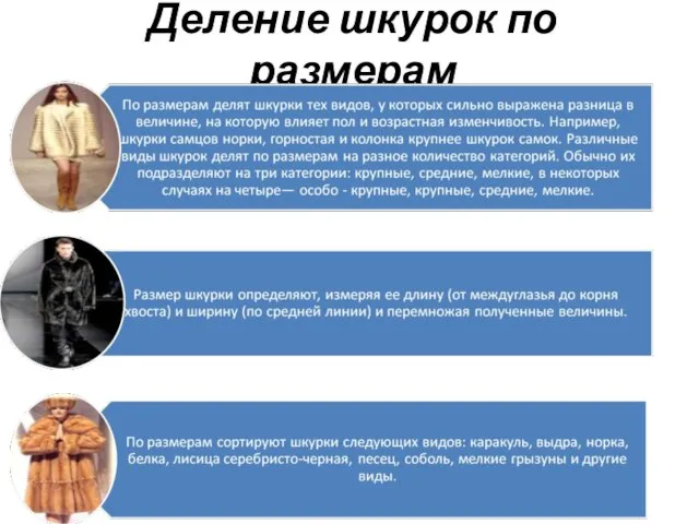 Деление шкурок по размерам