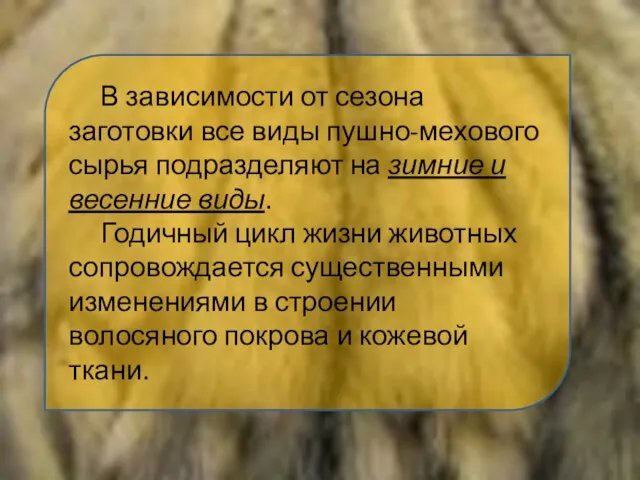 В зависимости от сезона заготовки все виды пушно-мехового сырья подразделяют на зимние