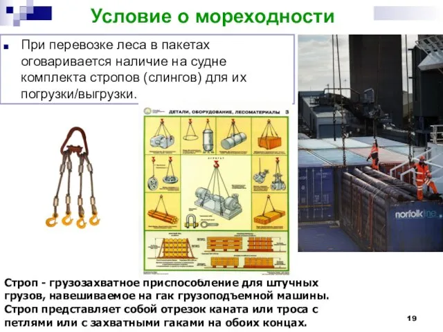 Условие о мореходности При перевозке леса в пакетах оговаривается наличие на судне