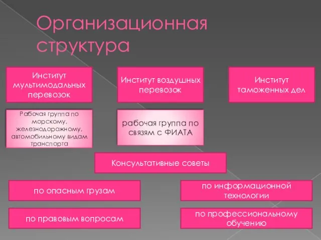 Организационная структура Институт мультимодальных перевозок Институт воздушных перевозок Институт таможенных дел Рабочая