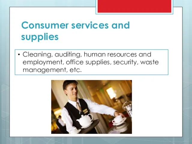 Consumer services and supplies Cleaning, auditing, human resources and employment, office supplies, security, waste management, etc.