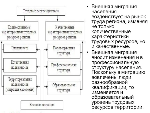 Внешняя миграция населения воздействует на рынок труда региона, изменяя не только количественные