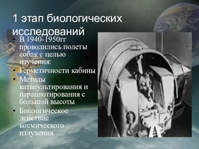 1 этап биологических исследований В 1940-1950гг проводились полеты собак с целью изучения: